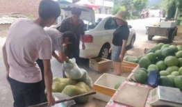 台前县新爆料吃瓜,吃瓜群众热议神秘事件